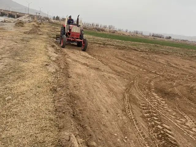 Трактор Юмз, Шахритус