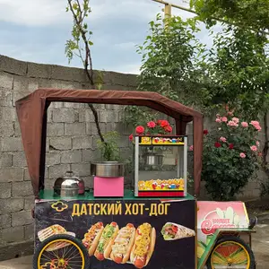 Тележка с тремя аппаратами, Душанбе