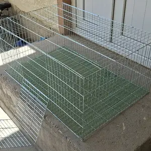 Клетка, Худжанд