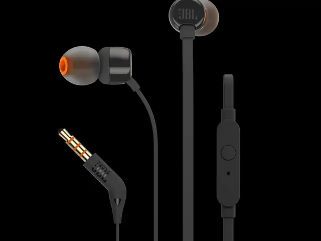 Проводные наушники JBL T110 черный, Душанбе