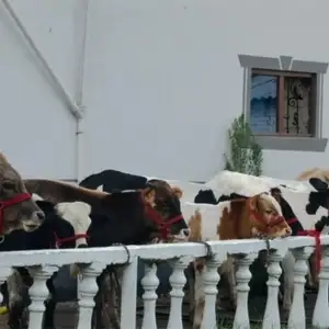 Гуночин, Душанбе