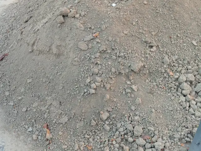 Хоки тоза, Худжанд