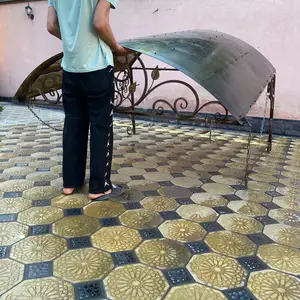 Козырек, Душанбе