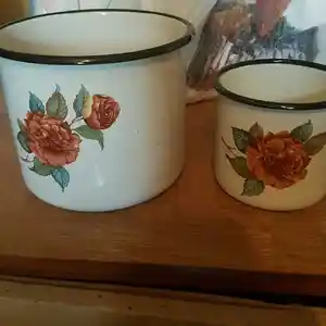 Кружки, Душанбе