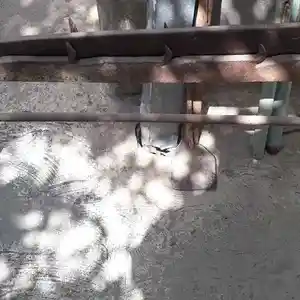 Чоду, Канибадам