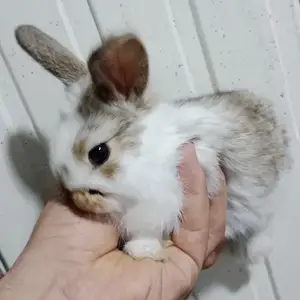 Харгушча 9км, Душанбе