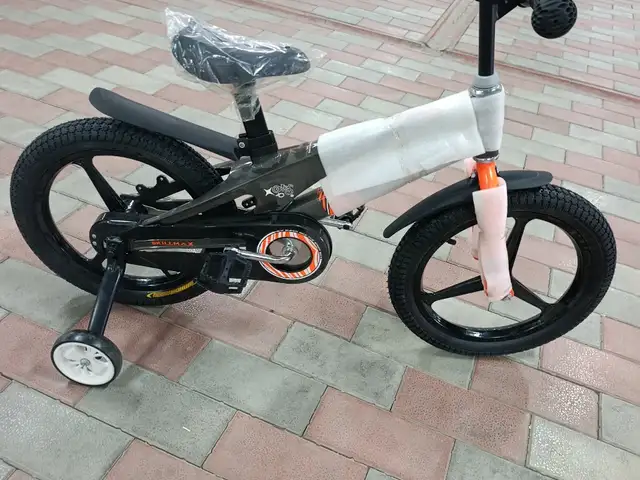 Велосипед, Душанбе