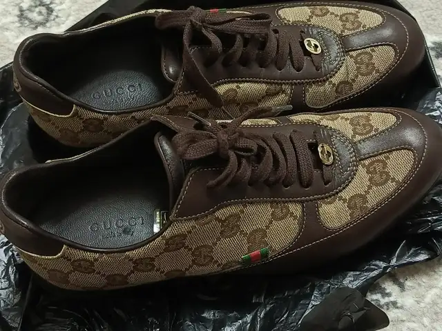 Кроссовки Gucci, Бохтар (Курғон-Теппа)