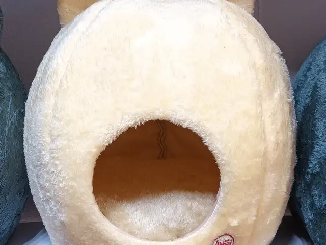 Домик для кошек, Хуҷанд