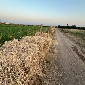 Прессованное сено, Худжанд