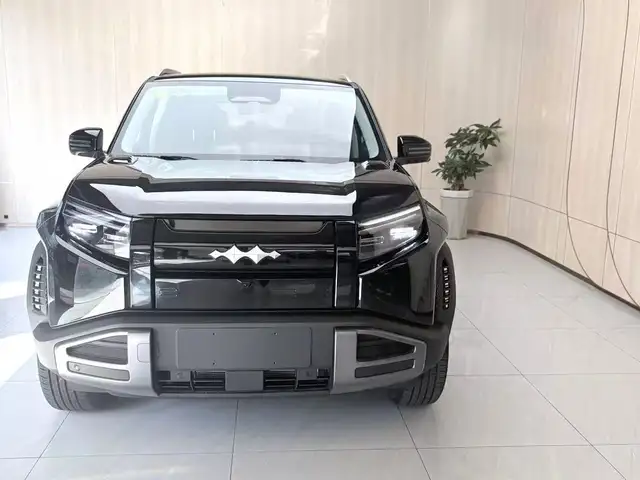 BYD Leopard 3
