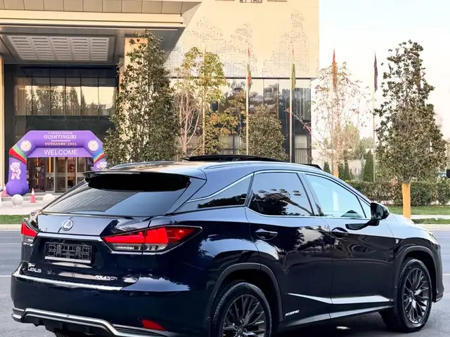 Lexus RX series, 2022, Душанбе - 7