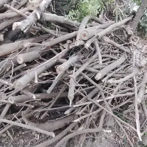 Хезум, Душанбе