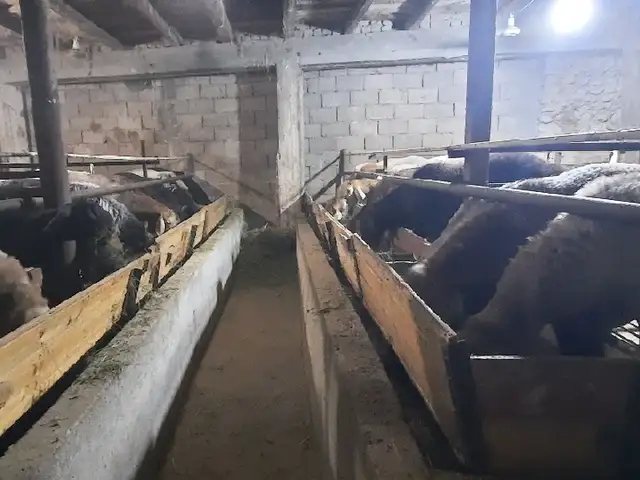 Кушкор, Худжанд