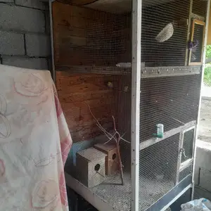 Клетка, Хуҷанд