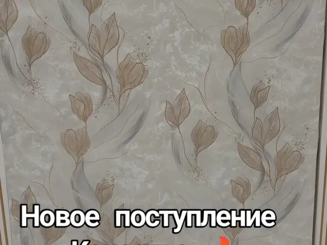 Обои, Душанбе