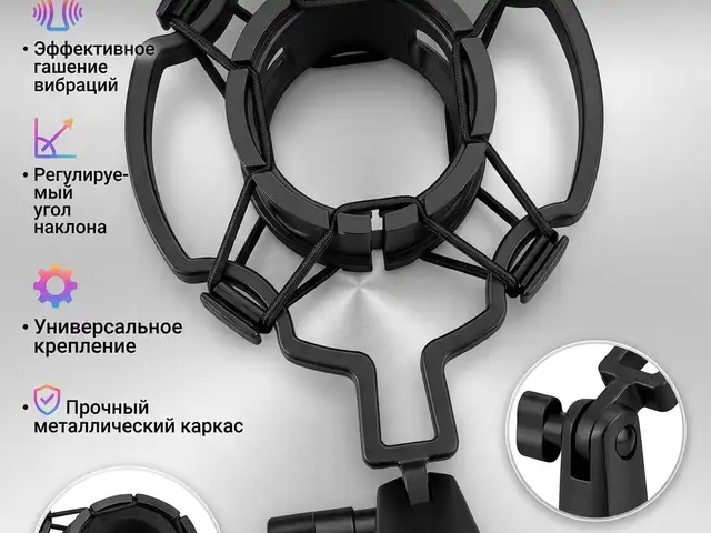 Паук для микрофона, Душанбе