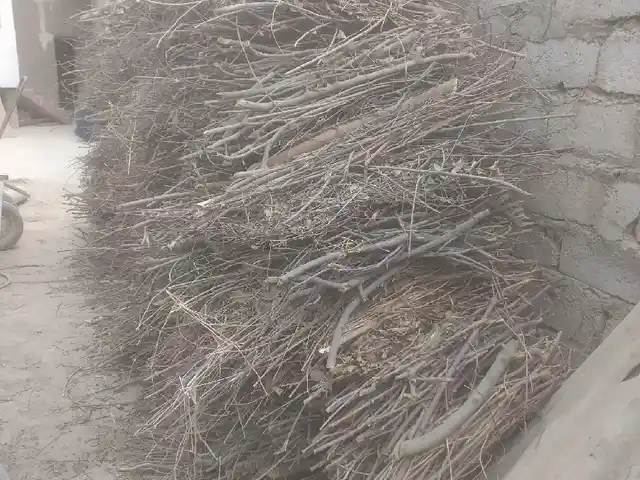Хезум, Душанбе