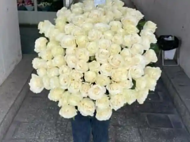Голландские розы, Душанбе