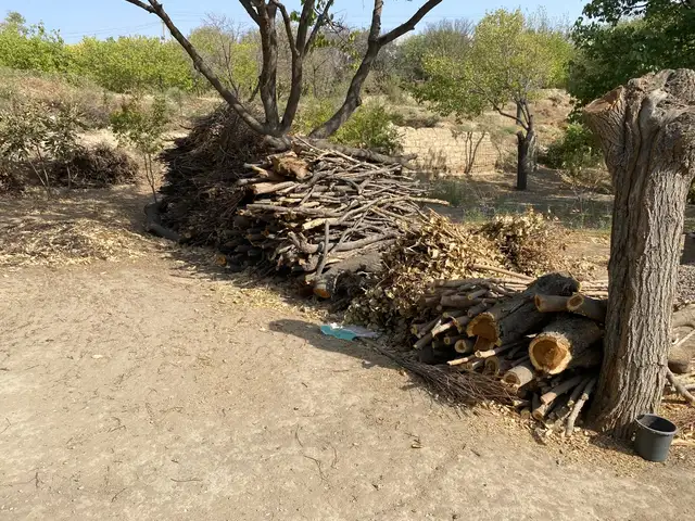 Хезум, Худжанд