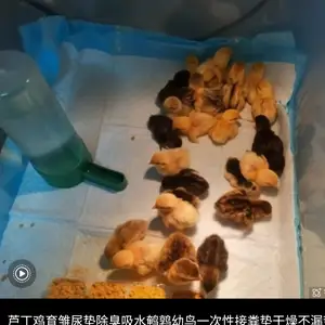 Подстилка для цыплят, Хуҷанд