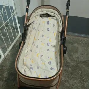 Детская коляска, Конибодом