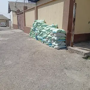 Кум барои штукатурка, Душанбе