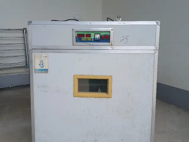 Инкубатор, Душанбе