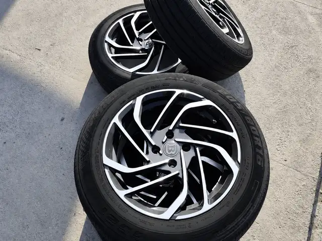 Диски R16, Канибадам