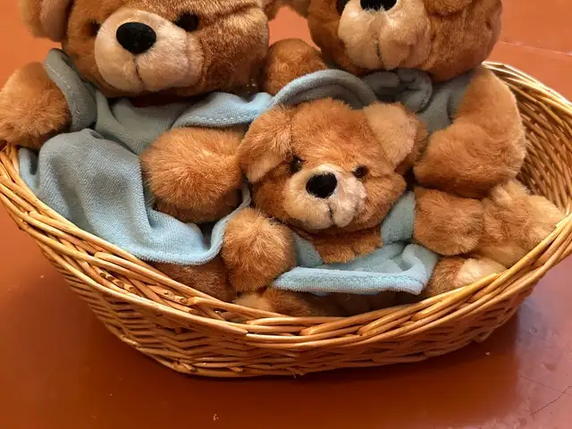 Семейка мишек в корзине, Душанбе