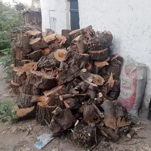 Хезум, Гиссар