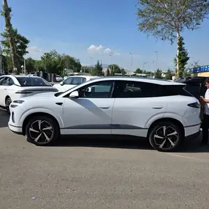 BYD Sea Lion 06