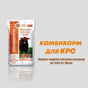 Комбикорм Премиум, Бободжон Гафуров