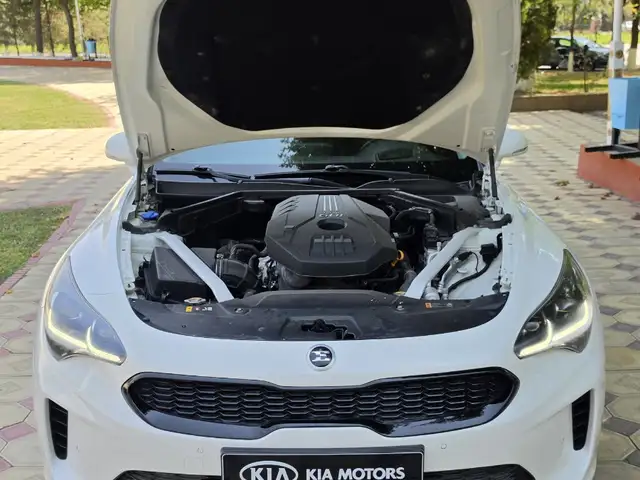 Kia Stinger, 2019, Турсунзаде - 7