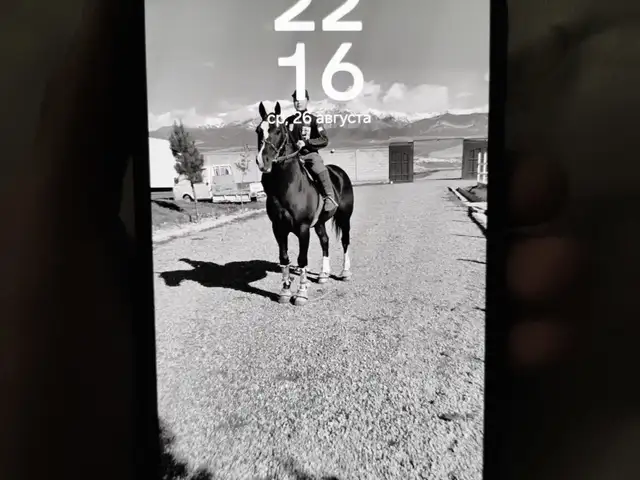 Samsung Galaxy A16, Душанбе