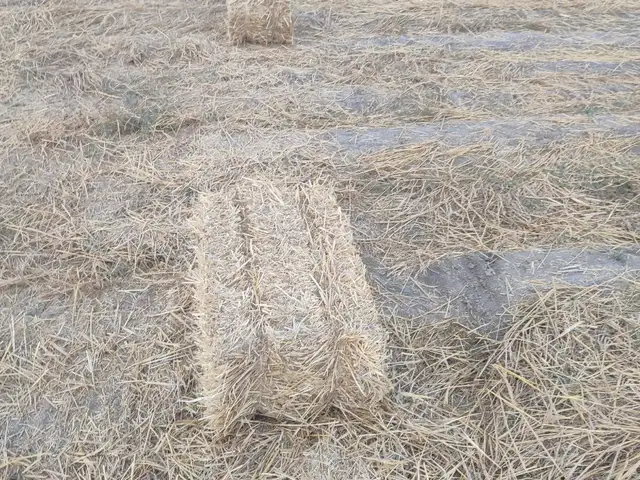 Пресс, Душанбе