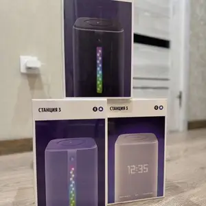 Алиса станция 3 с Zigbee, Душанбе