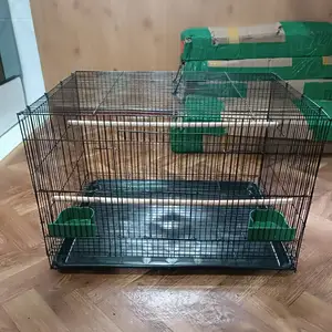 Клетка, Душанбе