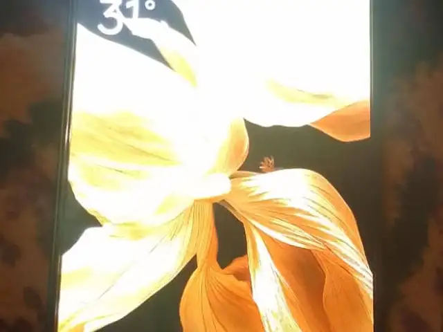 Xiaomi Redmi, Хуҷанд