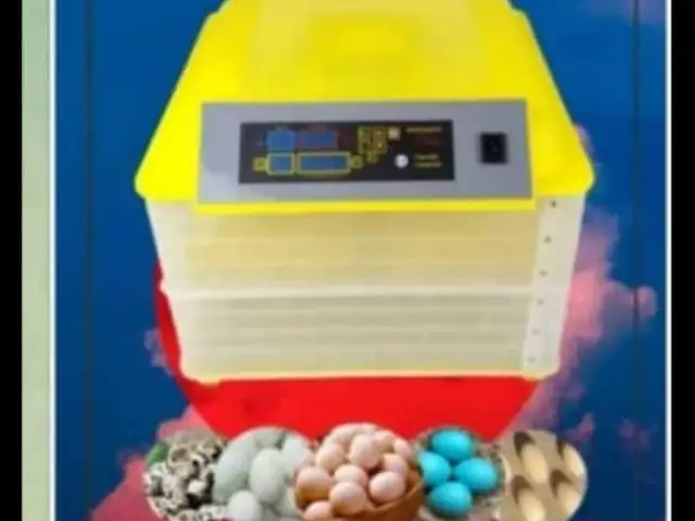 Инкубатор 112 Дона, Душанбе