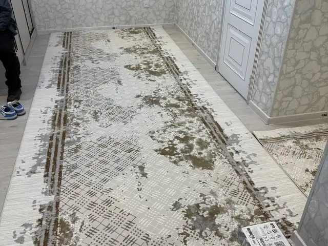 Колин, Душанбе