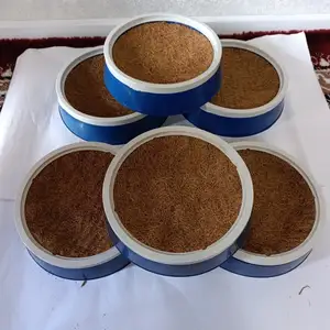 Гнездо барои кафтар, Душанбе
