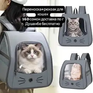 Переноска рюкзак для кошек, Душанбе