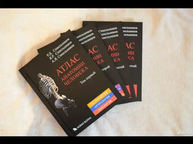 Книга Анатомия Человека Синельников, Душанбе