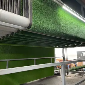 Профессиональный газон, Душанбе