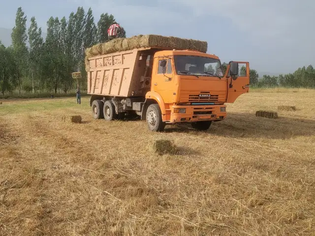 Самосвал Камаз, 2005, Файзабад