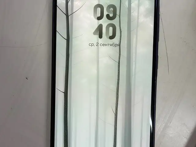 Samsung Galaxy А36, Конибодом