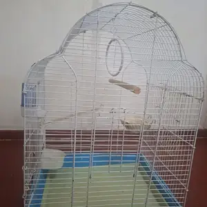 Клетка, Душанбе