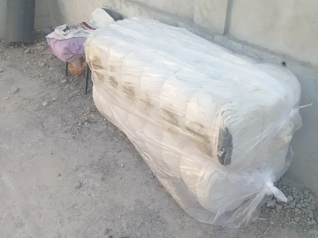 Тухми газон, Душанбе - 5