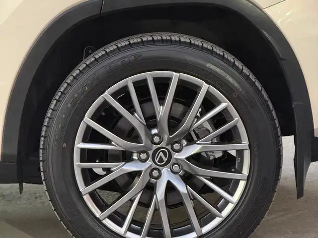 Lexus RX series, 2018, Душанбе - 8